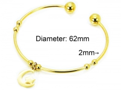 HY Jewelry Wholesale Stainless Steel 316L Bangle (PDA Style)-HY58B0378KF