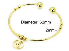 HY Jewelry Wholesale Stainless Steel 316L Bangle (PDA Style)-HY58B0388KW