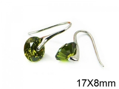 HY Stainless Steel 316L Drops Earrings-HY30E1481HID