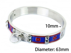 HY Wholesale Stainless Steel 316L Bangle(Crystal)-HY80B0883HPW