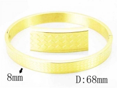 HY Wholesale Stainless Steel 316L Bangle-HY42B0137OL