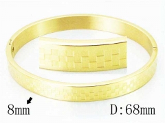 HY Wholesale Stainless Steel 316L Bangle-HY42B0133OL