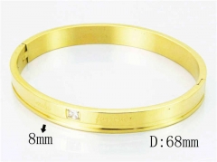 HY Wholesale Stainless Steel 316L Bangle-HY42B0120HLA