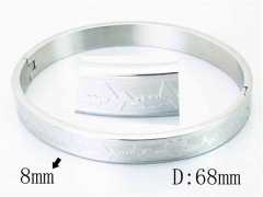 HY Wholesale Stainless Steel 316L Bangle-HY42B0150ML