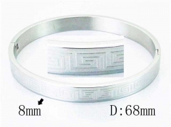 HY Wholesale Stainless Steel 316L Bangle-HY42B0138ML