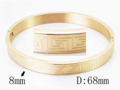 HY Wholesale Stainless Steel 316L Bangle-HY42B0140HDD