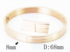 HY Wholesale Stainless Steel 316L Bangle-HY42B0131HKL