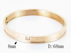 HY Wholesale Stainless Steel 316L Bangle-HY42B0121HML