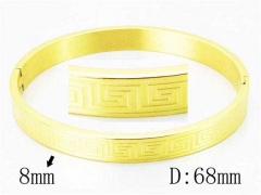 HY Wholesale Stainless Steel 316L Bangle-HY42B0139OL