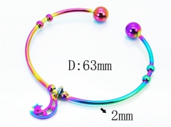 HY Jewelry Wholesale Stainless Steel 316L Bangle (Colorful)-HY58B0424KLR