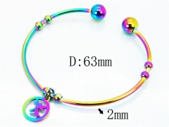 HY Jewelry Wholesale Stainless Steel 316L Bangle (Colorful)-HY58B0412KLX