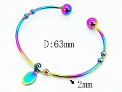 HY Jewelry Wholesale Stainless Steel 316L Bangle (Colorful)-HY58B0425KLE