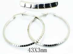 HY Wholesale Stainless Steel 316L Cheap Earrings-HY58E1277IW