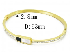 HY Wholesale Stainless Steel 316L Bangle(Crystal)-HY80B0923HMZ