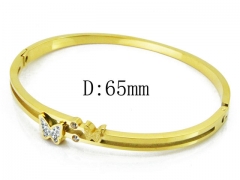 HY Wholesale Stainless Steel 316L Bangle(Crystal)-HY80B0920HJA