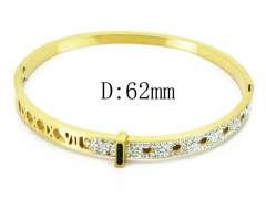 HY Wholesale Stainless Steel 316L Bangle(Crystal)-HY19B0028HOD