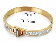 HY Wholesale Stainless Steel 316L Bangle(Crystal)-HY19B0015IJF