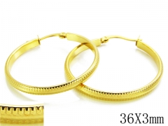 HY Wholesale Stainless Steel Earrings-HY70E0349KZ