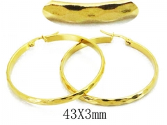 HY Wholesale Stainless Steel Earrings-HY58E1283IL
