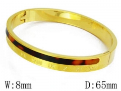 HY Stainless Steel 316L Bangle-HYC80B0021IHZ