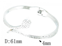 HY Stainless Steel 316L Bangle-HYC80B0801HHQ
