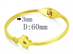 HY Stainless Steel 316L Bangle-HYC80B0568HID