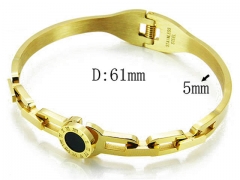 HY Stainless Steel 316L Bangle-HYC80B0247HIE