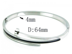 HY Stainless Steel 316L Bangle-HYC80B0745HIC
