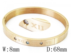 HY Wholesale Stainless Steel 316L Bangle(Crystal)-HY42B0203HKL