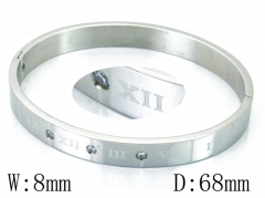 HY Wholesale Stainless Steel 316L Bangle(Crystal)-HY42B0201HHA