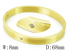 HY Wholesale Stainless Steel 316L Bangle(Crystal)-HY42B0192HJS