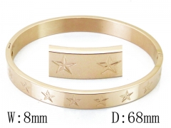 HY Wholesale 316L Stainless Steel Bangle-HY42B0214HDD