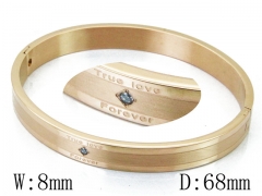 HY Wholesale Stainless Steel 316L Bangle(Crystal)-HY42B0193HKL