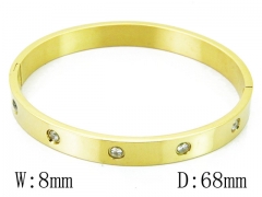 HY Wholesale Stainless Steel 316L Bangle(Crystal)-HY42B0183HNC