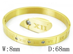 HY Wholesale Stainless Steel 316L Bangle(Crystal)-HY42B0202HJW