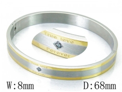 HY Wholesale Stainless Steel 316L Bangle(Crystal)-HY42B0194HJD
