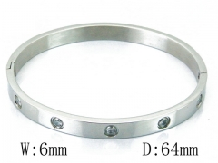 HY Wholesale Stainless Steel 316L Bangle(Crystal)-HY42B0161HLX