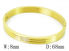 HY Wholesale Stainless Steel 316L Bangle(Crystal)-HY42B0186HNW