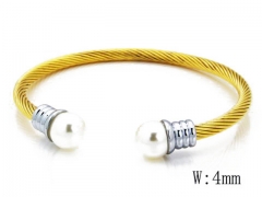 HY Stainless Steel 316L Bangle (Steel Wire)-HY38B0284H60