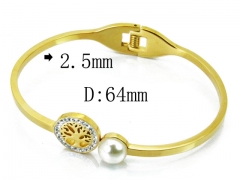 HY Wholesale Stainless Steel 316L Bangle(Crystal)-HY80B0962HKX