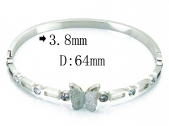 HY Wholesale Stainless Steel 316L Bangle(Crystal)-HY80B0964HIU