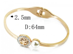 HY Wholesale Stainless Steel 316L Bangle(Crystal)-HY80B0963HKW