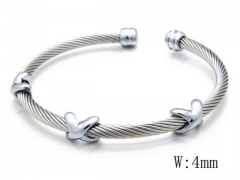 HY Stainless Steel 316L Bangle (Steel Wire)-HY38B0356H40