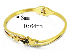 HY Wholesale Stainless Steel 316L Bangle(Crystal)-HY80B0971HMS