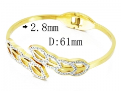 HY Wholesale Stainless Steel 316L Bangle(Crystal)-HY19B0074HPD