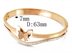 HY Wholesale Stainless Steel 316L Bangle(Crystal)-HY19B0060HPW