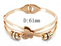 HY Wholesale Stainless Steel 316L Bangle(Crystal)-HY19B0057IHB