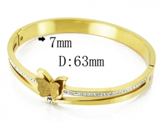 HY Wholesale Stainless Steel 316L Bangle(Crystal)-HY19B0062HOD