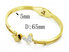 HY Wholesale Stainless Steel 316L Bangle(Crystal)-HY80B0979HLZ