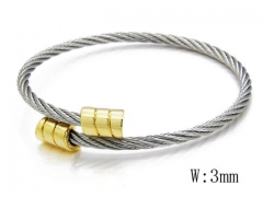 HY Stainless Steel 316L Bangle (Steel Wire)-HY38B0376H00